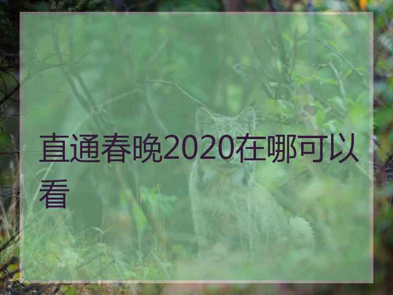 直通春晚2020在哪可以看