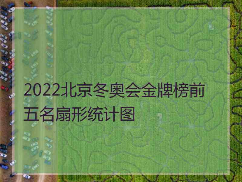 2022北京冬奥会金牌榜前五名扇形统计图