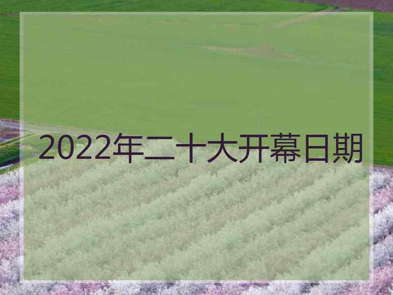 2022年二十大开幕日期