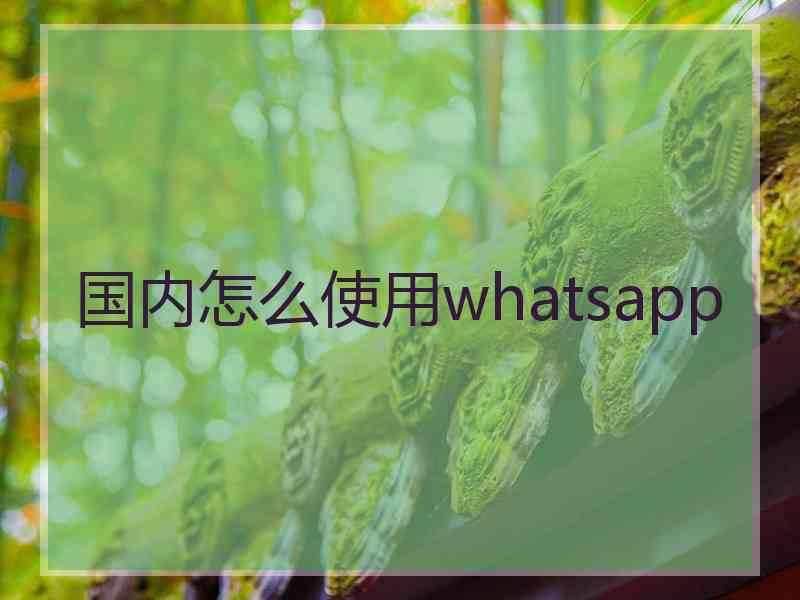 国内怎么使用whatsapp