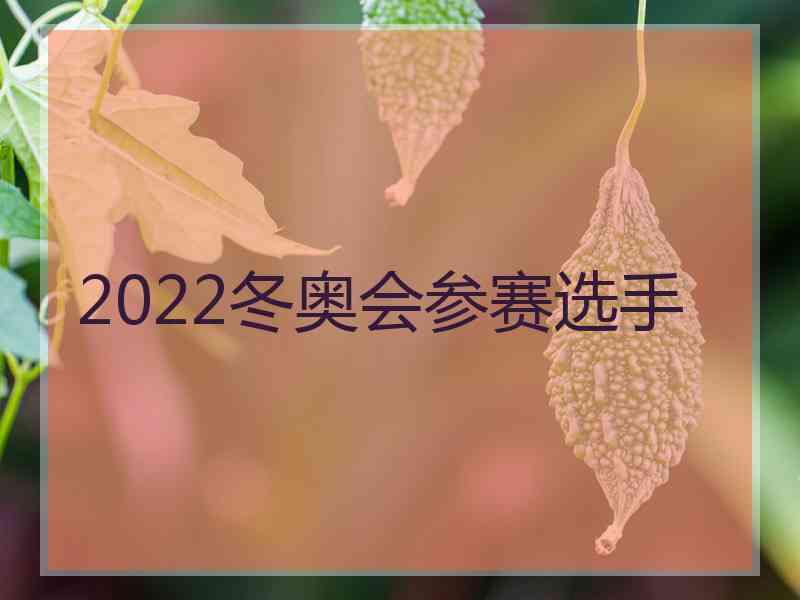 2022冬奥会参赛选手