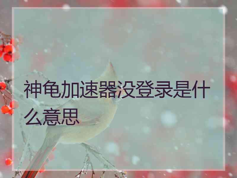 神龟加速器没登录是什么意思