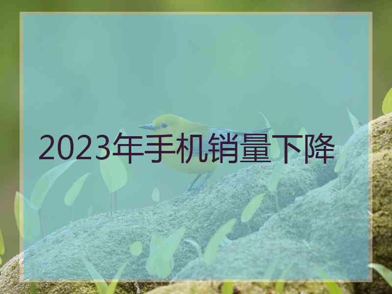 2023年手机销量下降