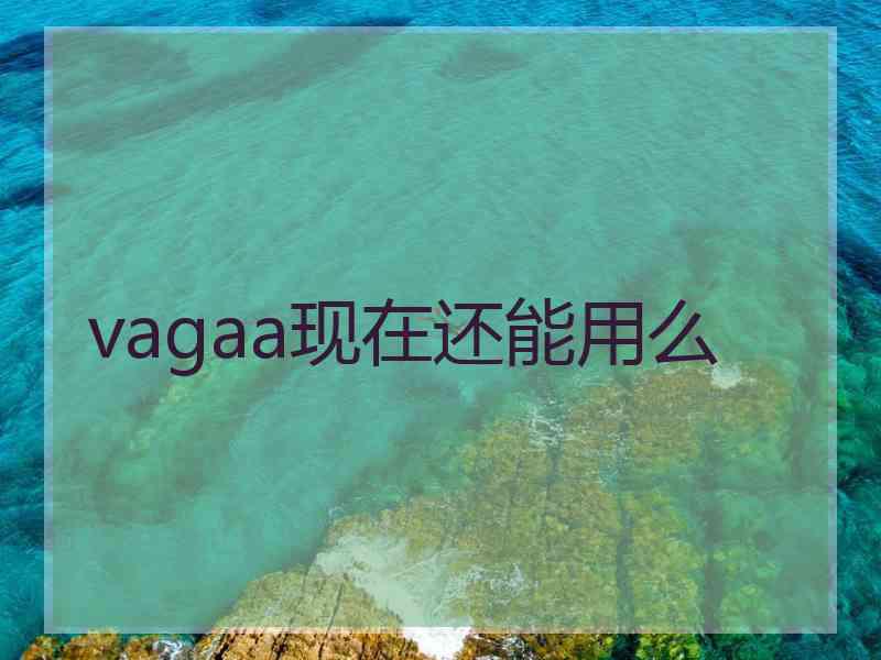 vagaa现在还能用么