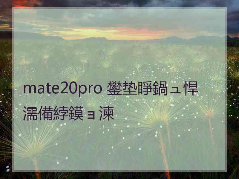 mate20pro 鐢垫睜鍋ュ悍濡備綍鏌ョ湅