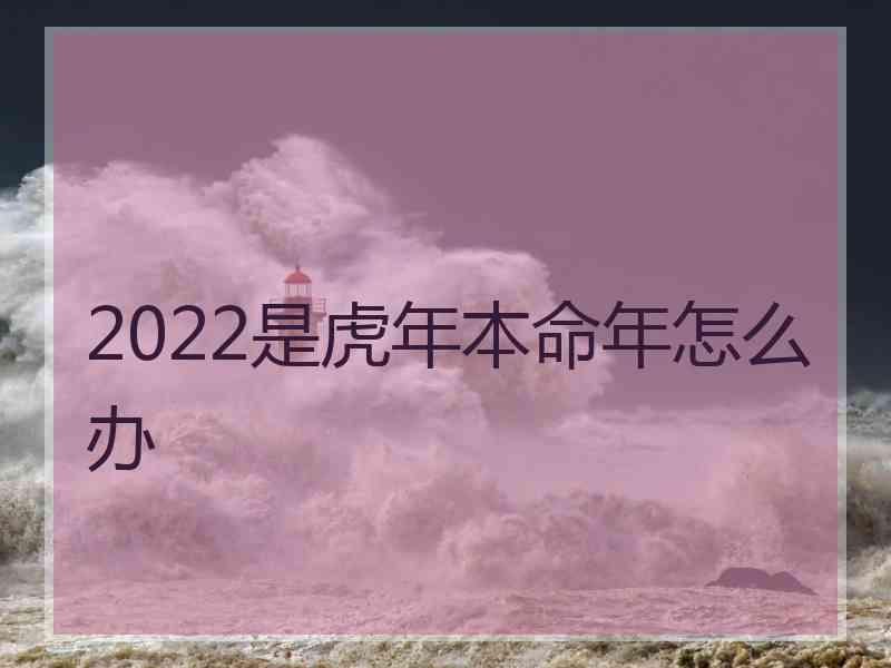 2022是虎年本命年怎么办