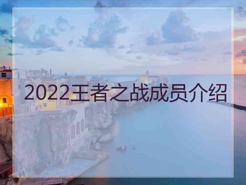 2022王者之战成员介绍