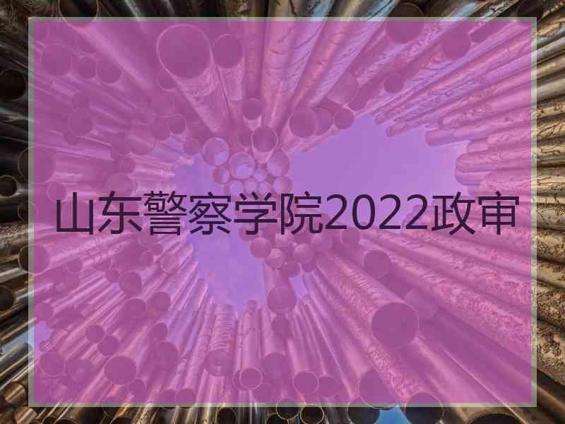 山东警察学院2022政审