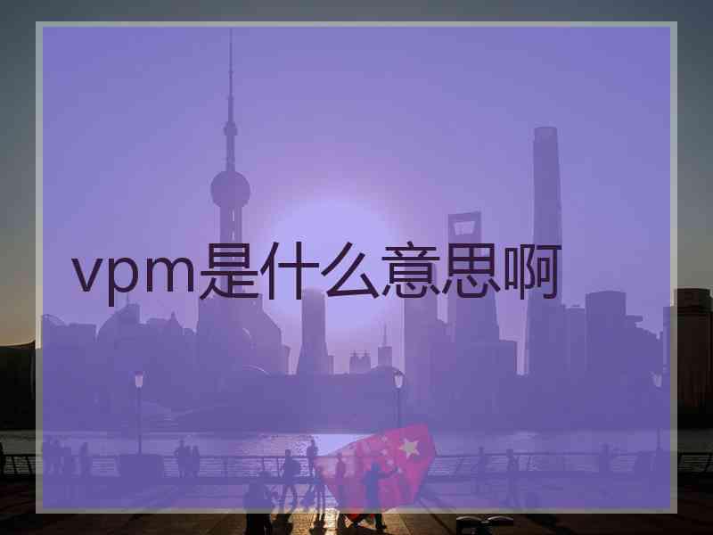 vpm是什么意思啊