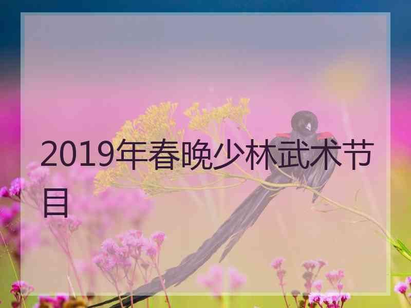 2019年春晚少林武术节目