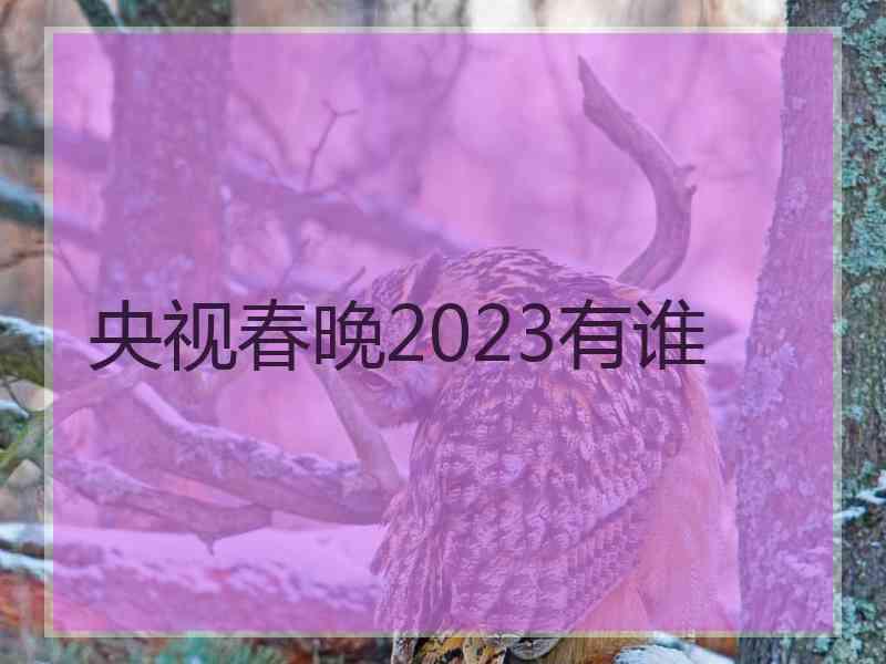 央视春晚2023有谁