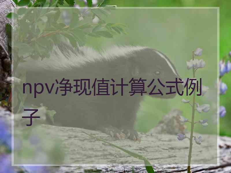 npv净现值计算公式例子