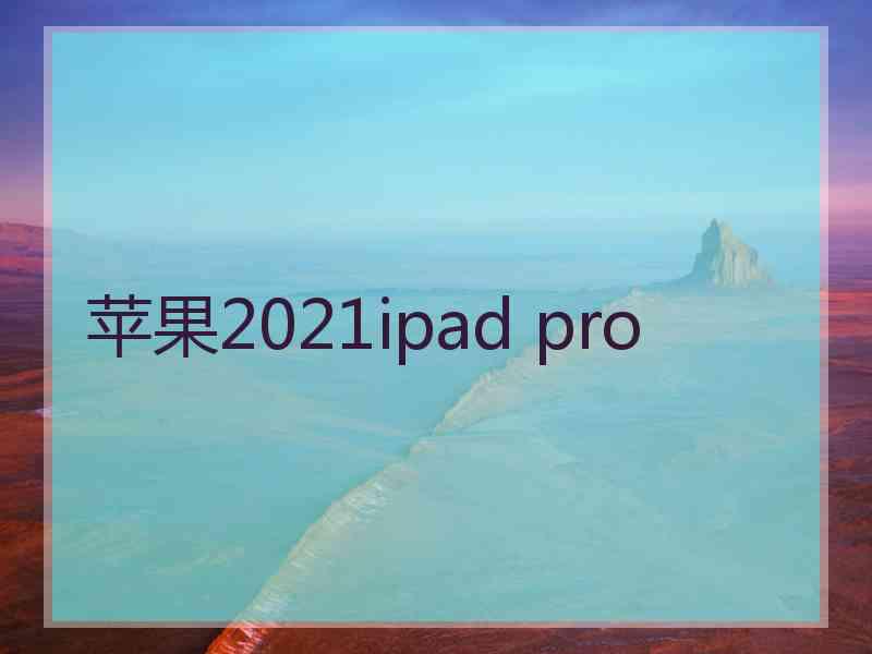 苹果2021ipad pro