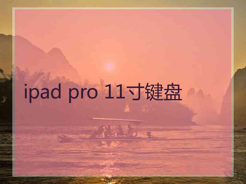 ipad pro 11寸键盘