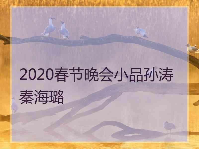 2020春节晚会小品孙涛秦海璐