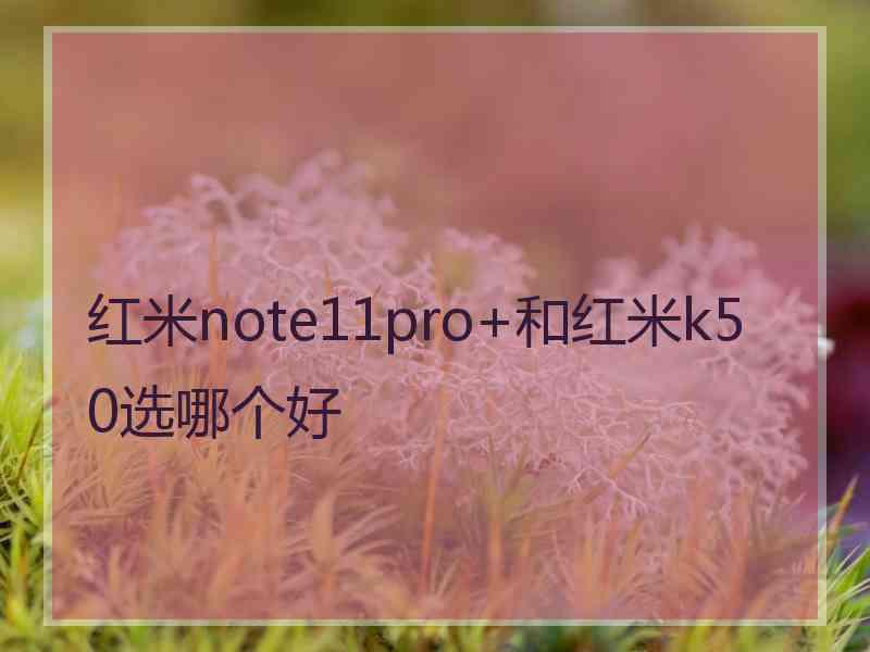 红米note11pro+和红米k50选哪个好