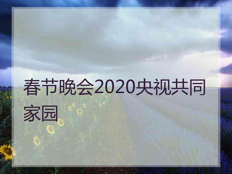 春节晚会2020央视共同家园