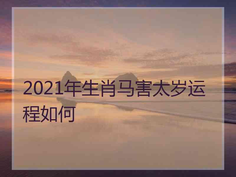 2021年生肖马害太岁运程如何