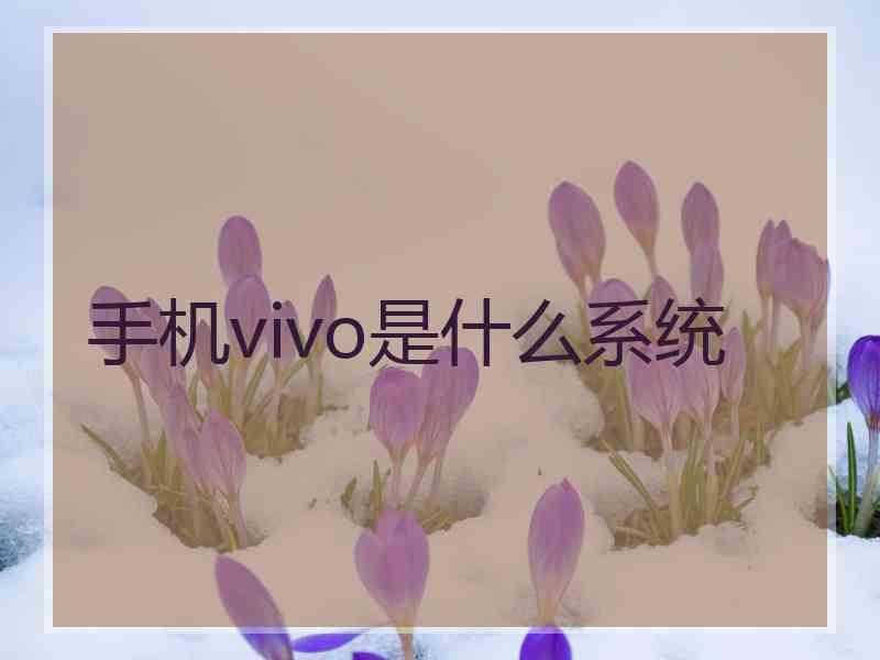 手机vivo是什么系统