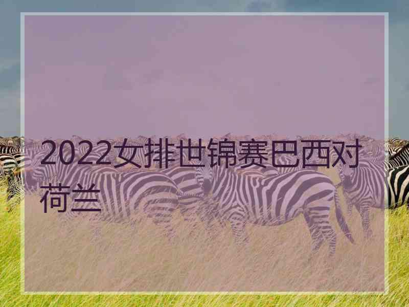 2022女排世锦赛巴西对荷兰