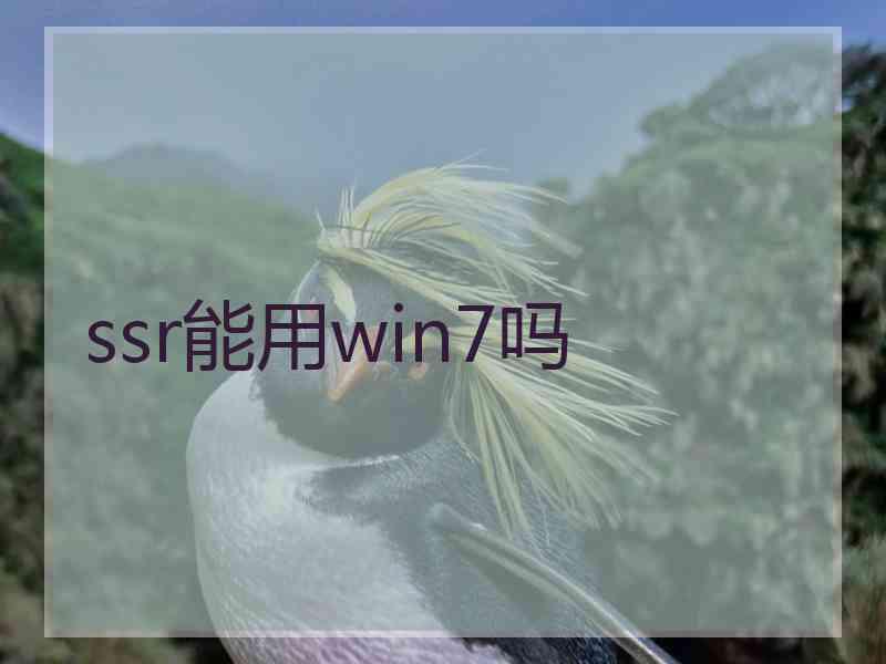 ssr能用win7吗