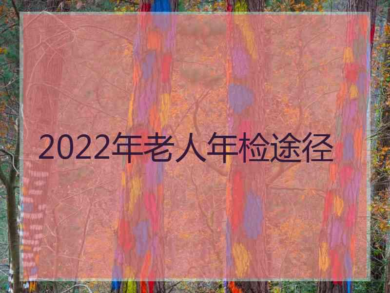 2022年老人年检途径