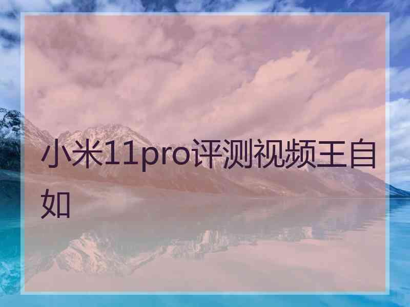 小米11pro评测视频王自如