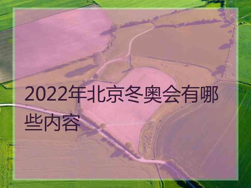 2022年北京冬奥会有哪些内容