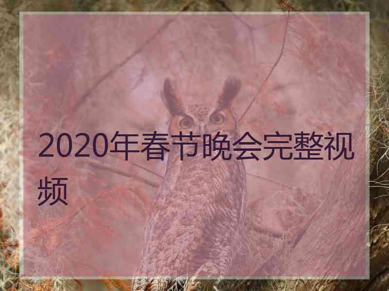 2020年春节晚会完整视频