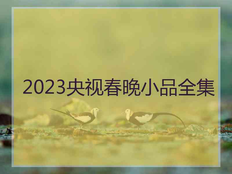 2023央视春晚小品全集