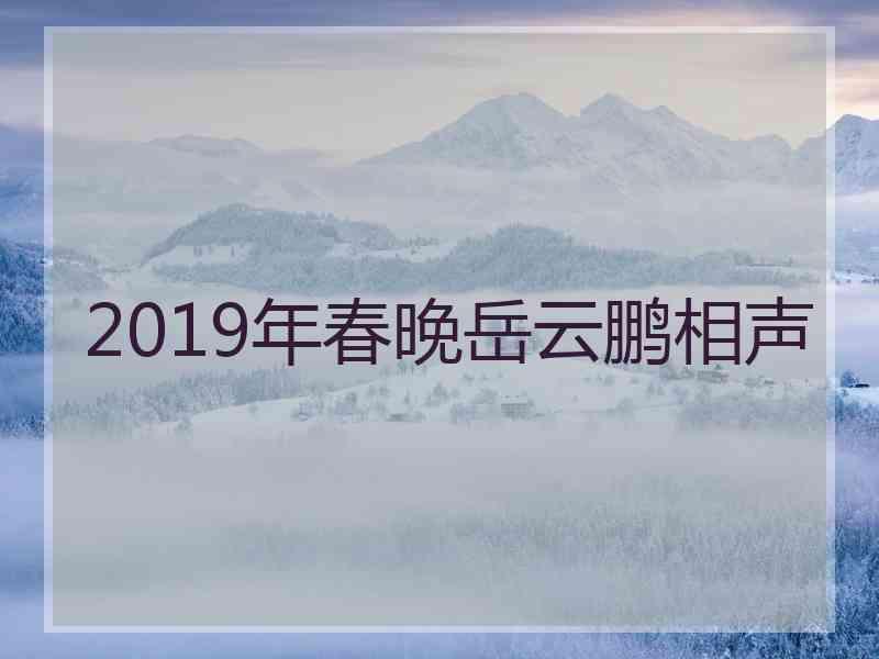 2019年春晚岳云鹏相声