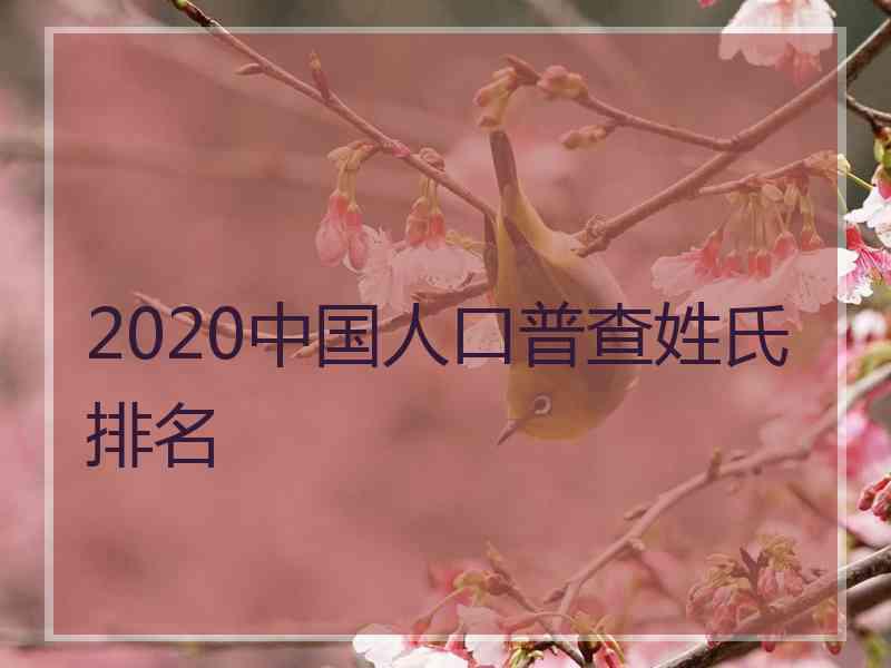 2020中国人口普查姓氏排名