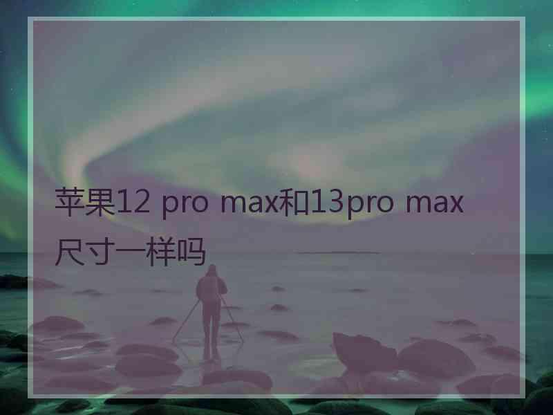 苹果12 pro max和13pro max尺寸一样吗