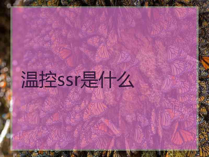 温控ssr是什么