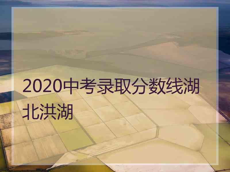 2020中考录取分数线湖北洪湖