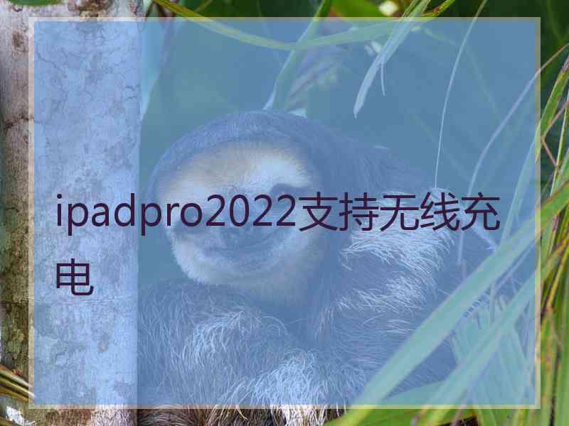 ipadpro2022支持无线充电