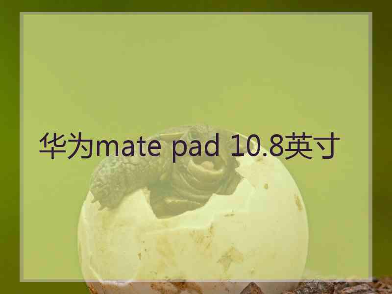 华为mate pad 10.8英寸