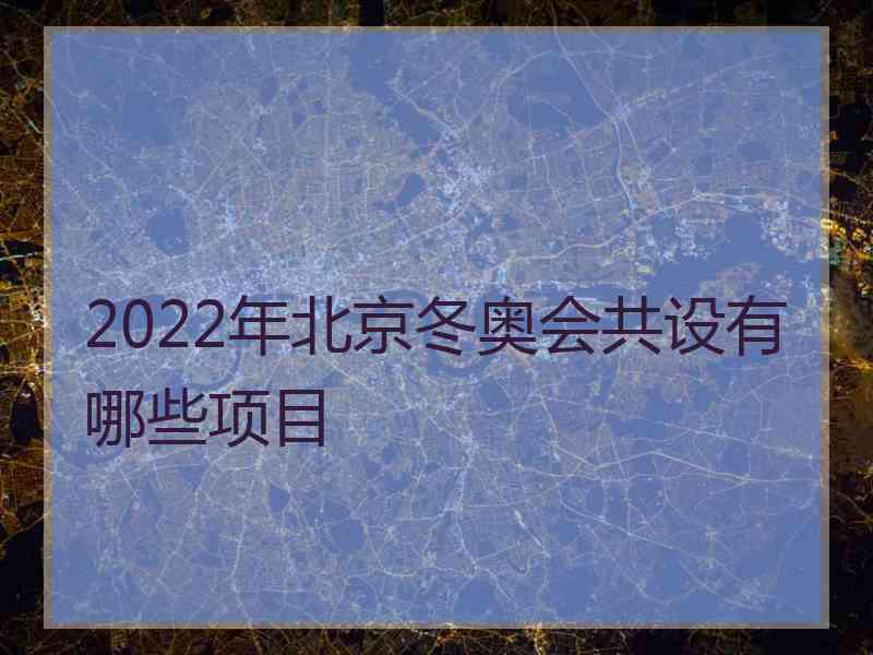 2022年北京冬奥会共设有哪些项目