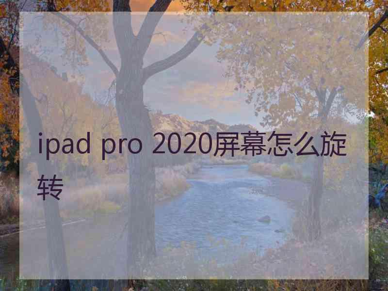 ipad pro 2020屏幕怎么旋转