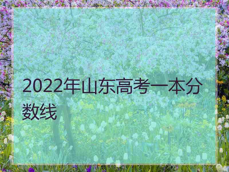 2022年山东高考一本分数线