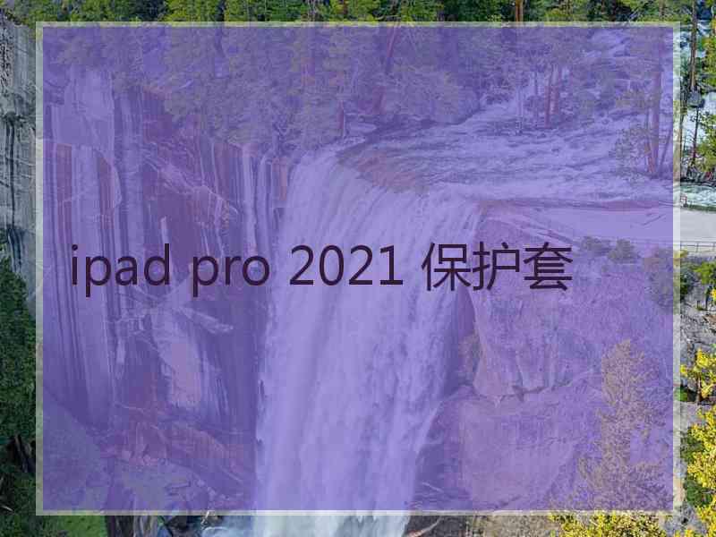 ipad pro 2021 保护套