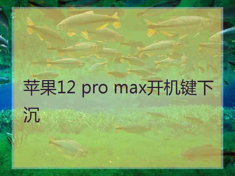 苹果12 pro max开机键下沉