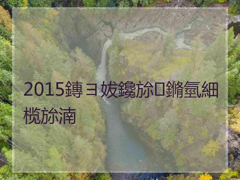 2015鏄ヨ妭鑱旀鏅氫細榄旀湳