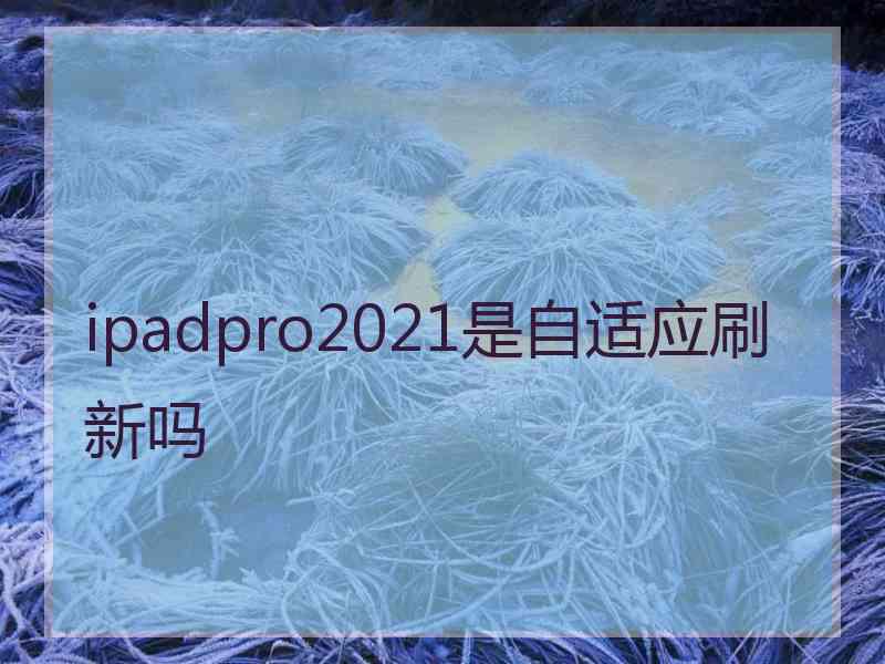 ipadpro2021是自适应刷新吗