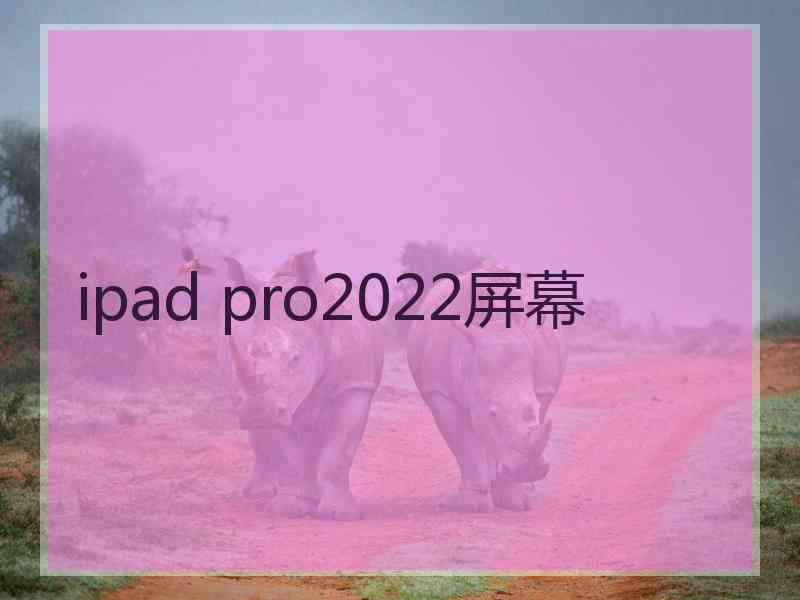 ipad pro2022屏幕