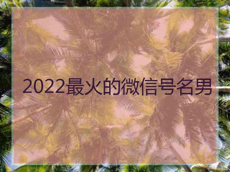 2022最火的微信号名男