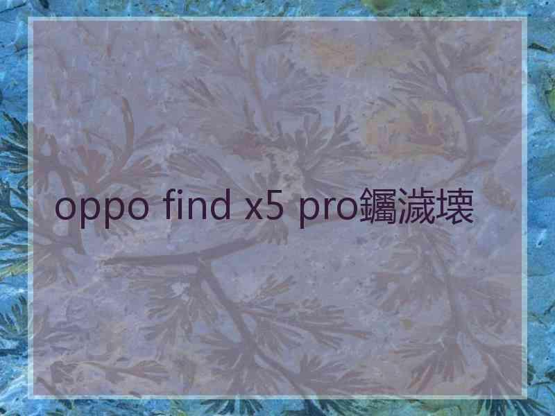 oppo find x5 pro钃濊壊