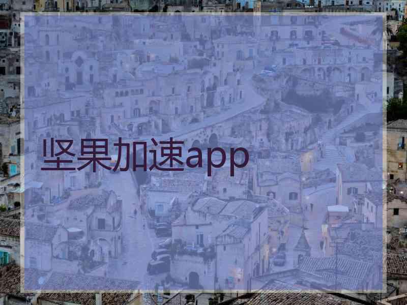 坚果加速app