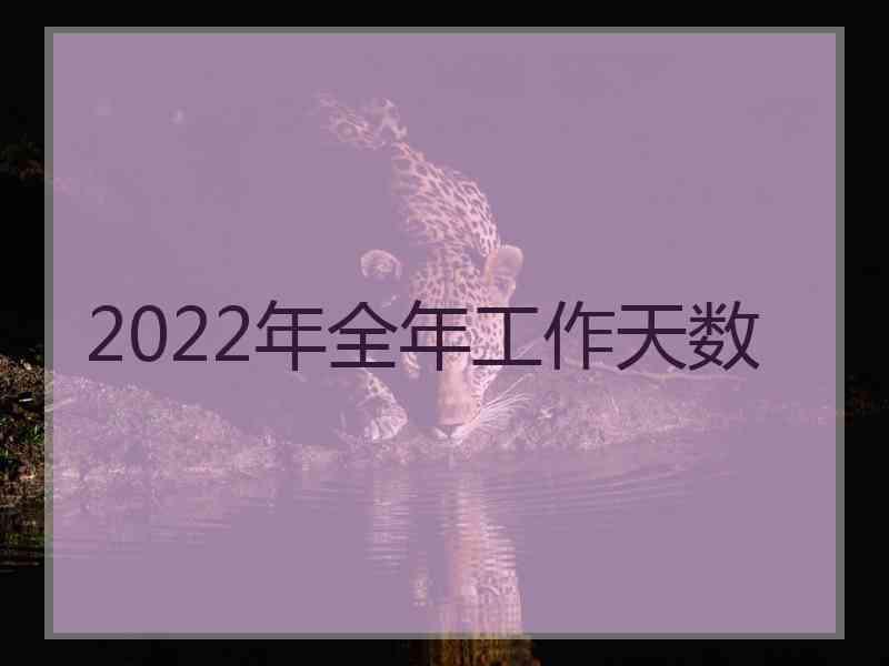 2022年全年工作天数