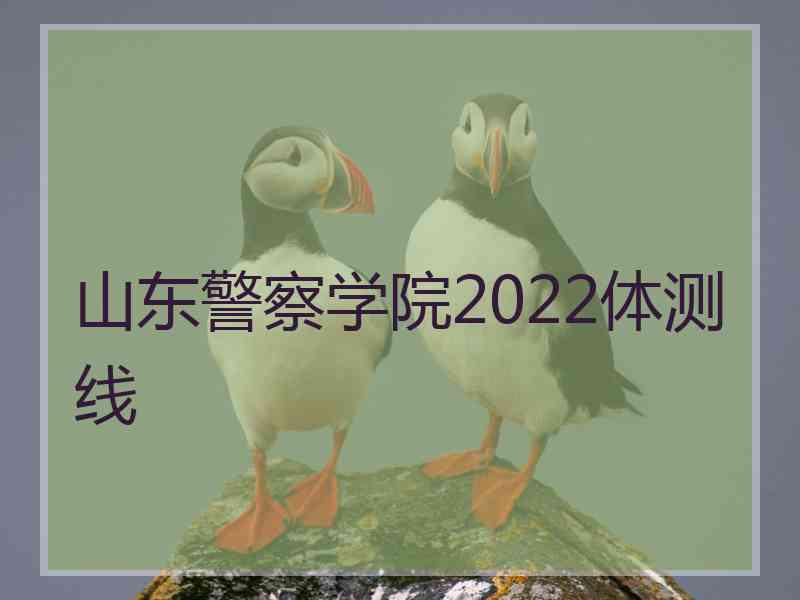 山东警察学院2022体测线